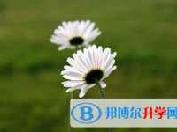 承德2021年中考各科高頻考點(diǎn)