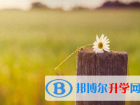 承德2021年中考生活注意事項(xiàng)