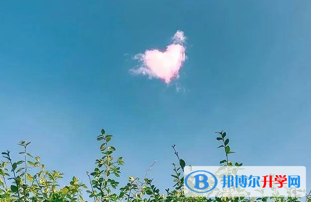 張家口2021年中考志愿填報網址