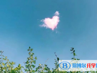 張家口2021年中考志愿填報(bào)網(wǎng)址