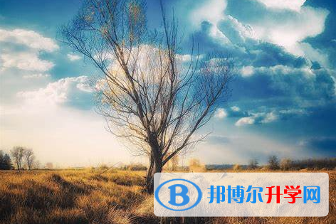 成都2021年查詢中考成績(jī)上哪個(gè)網(wǎng)站