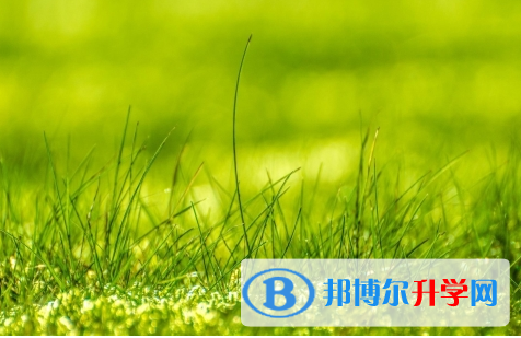 成都2021年中考報名網(wǎng)站是什么