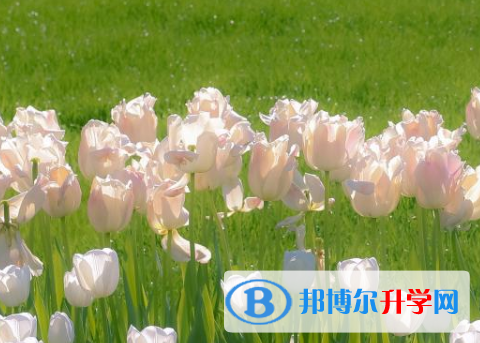 四川2021年中考報(bào)名系統(tǒng)網(wǎng)址