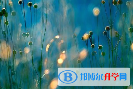 自貢2021年怎樣從網(wǎng)上查詢中考成績