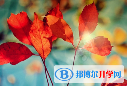 自貢2021年中考成績?nèi)绾尾樵? width=