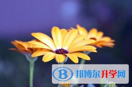 自貢2021年中考成績(jī)?cè)趺此? width=