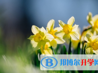 自貢2021年二類學(xué)校中考