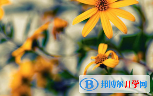 自貢2021年歷年中考重點