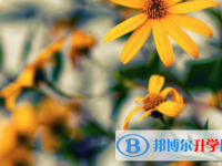 自貢2021年歷年中考重點(diǎn)