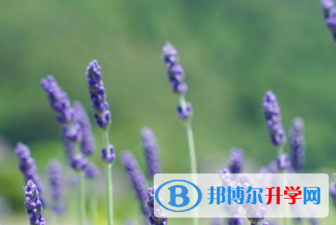 自貢2021年中考報(bào)考人數(shù)