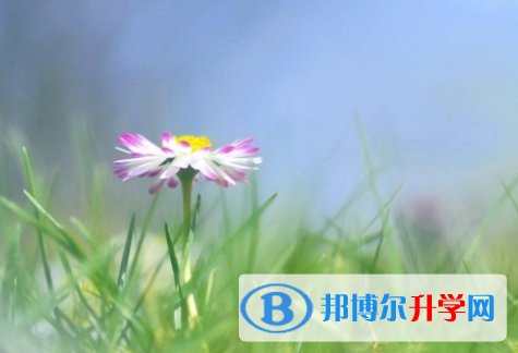 自貢2021年中考報(bào)名平臺(tái)