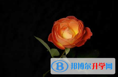 自貢2021年中考統考成績