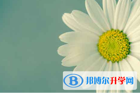 自貢2021年中考網(wǎng)絡(luò)平臺