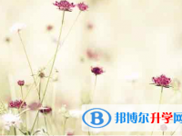自貢2021年中考網(wǎng)絡(luò)應(yīng)用服務(wù)平臺
