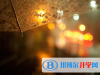 自貢2021年中考網(wǎng)絡(luò)應(yīng)用平臺