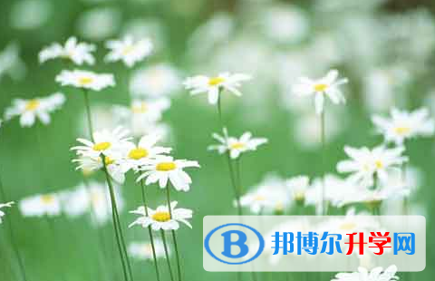 自貢2021年中考網(wǎng)上報名