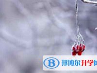 自貢2021年中考網(wǎng)上報(bào)名模擬