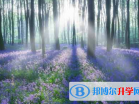 自貢2021年中考預(yù)估重點線