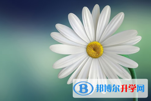 自貢2021年中考咨詢(xún)熱線電話號(hào)碼