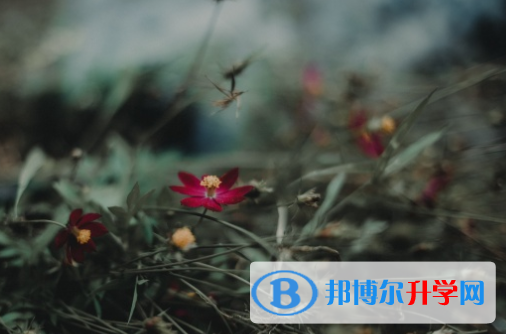自貢2021年中考注意事項(xiàng)