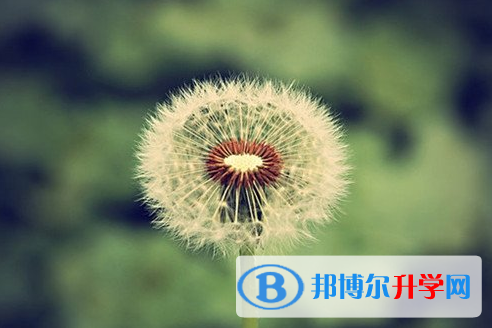 攀枝花2021年中考成績有沒D