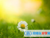 攀枝花2021年中考報名網(wǎng)