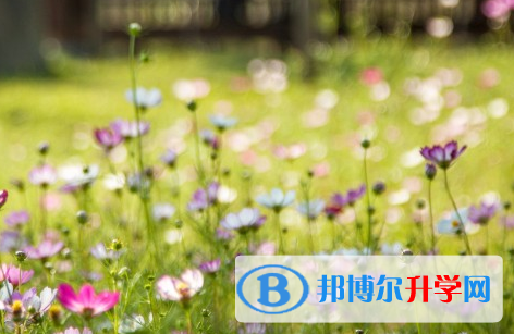 攀枝花2021年中考報名網(wǎng)站