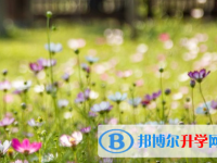 攀枝花2021年中考報名網(wǎng)站