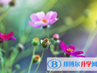 攀枝花2021年中考成績(jī)出來了嗎