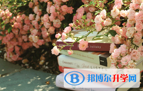 攀枝花2021年中考網(wǎng)絡平臺