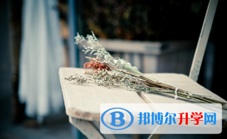 攀枝花2021年中考網(wǎng)絡(luò)應(yīng)用服務(wù)平臺(tái)