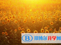 攀枝花2021年中考信息服務(wù)平臺