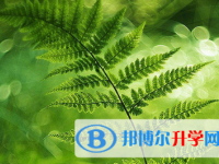 攀枝花2021年中考網上志愿如何打印