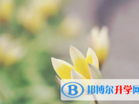 瀘州2021年如何查詢中考成績(jī)