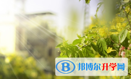 瀘州2021年中考線(xiàn)是好多