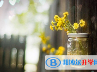 瀘州2021年中考招生考試查詢系統(tǒng)