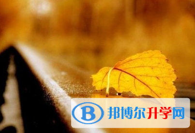 德陽(yáng)2021年中考錄取