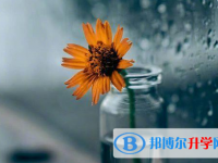 綿陽2021年如何查詢中考錄取結(jié)果