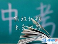 重慶2021中考成績(jī)查詢?nèi)肟? /><b>重慶2021中考成績(jī)查詢?nèi)肟?/b><span>2021-08-02 17:19</span><p>網(wǎng)絡(luò)的出現(xiàn)方便了我們的學(xué)習(xí)和生活，現(xiàn)在是一個(gè)互聯(lián)網(wǎng)的社會(huì)，我們能從互聯(lián)網(wǎng)上獲得的信息非常之多。網(wǎng)絡(luò)無疑是很多家長(zhǎng)的首選。</p></a></h3></li>
            <li><h3><a href=