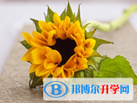 綿陽2021年中考重點(diǎn)線