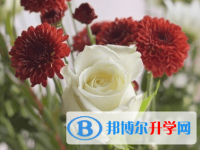綿陽2021年中考重點(diǎn)線錄取