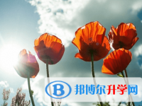 綿陽2021年中考重點(diǎn)線預(yù)測(cè)