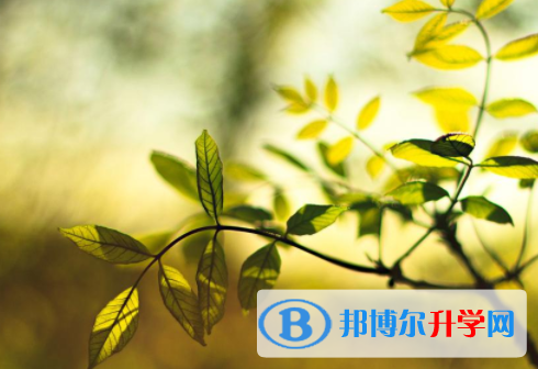 綿陽(yáng)2021年中考報(bào)名