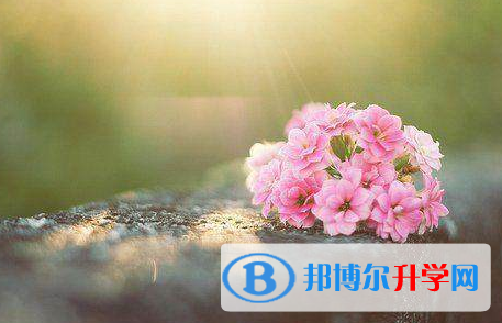 綿陽2022年中考報名系統(tǒng)網(wǎng)址
