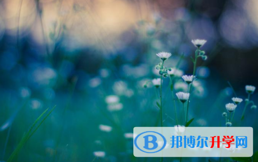 綿陽2022年中考調(diào)劑志愿