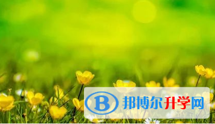 廣元2022年中考報(bào)考人數(shù)