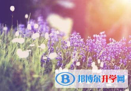 廣元2022年中考查詢系統的密碼記不到了怎么辦