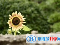 廣元2022年中考服務(wù)應(yīng)用平臺(tái)