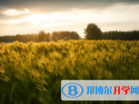 廣元2022年中考考點(diǎn)有哪幾個(gè)