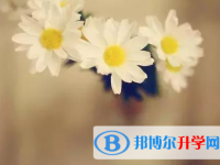 廣元2022年這次中考多久結束